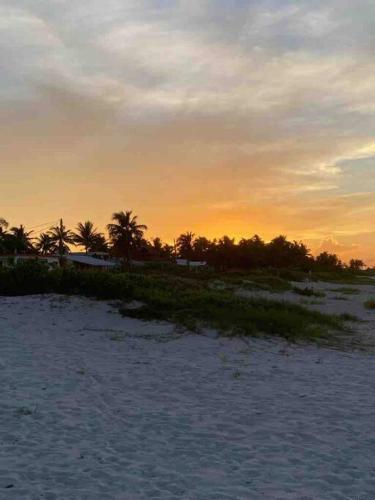 Apartamento Loft Gaviota El Cuyo Beach