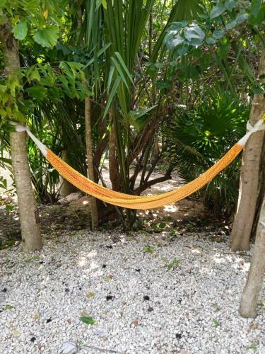 Bed & Breakfast Los Jardines de Ixchel Casa Luna