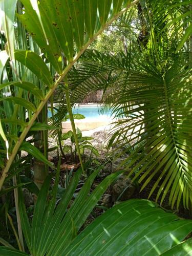 Bed & Breakfast Los Jardines de Ixchel Casa Luna