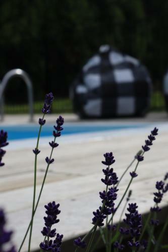 Apartamento T H E B A R N Boutique Accomodation