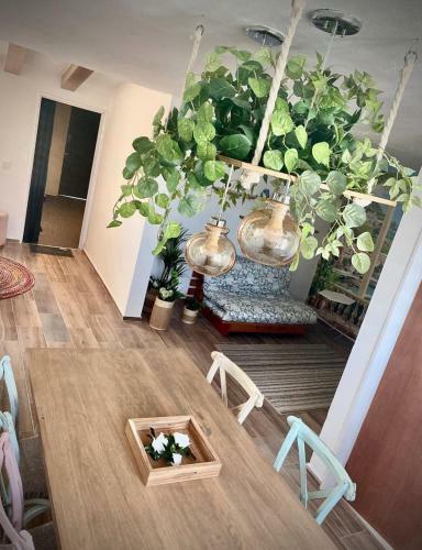 Apartamento Zona Andares Con Sala de Cine Privada