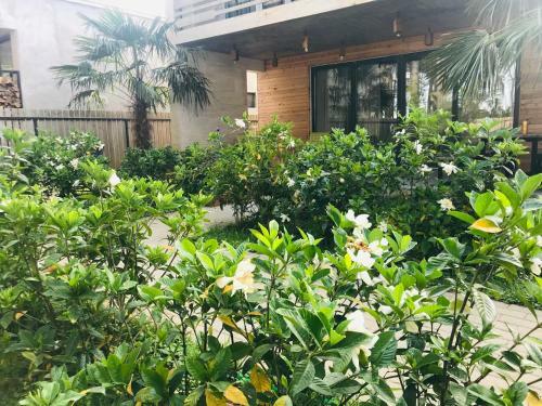 Shekvetili Silver Sands Beach House