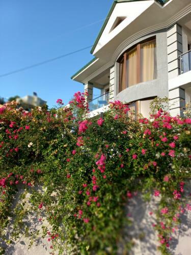 Apartamento Guest House Botanical Paradise
