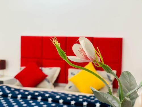 Tekatuka?s Sweet Apartment ?life ?happiness