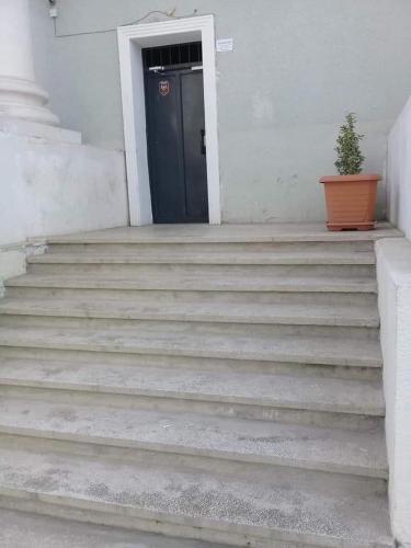 Apartamento Magnolia 1005