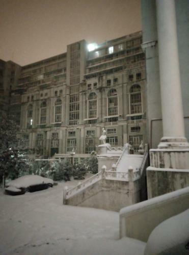 Apartamento Magnolia 1005