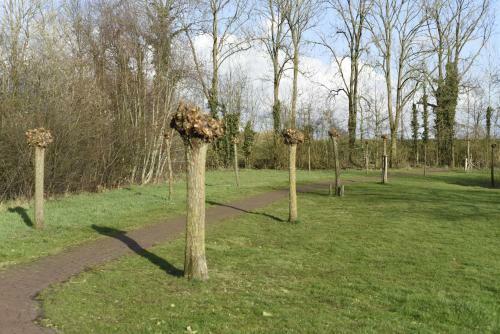 Hostal B&B Eibergen Met Priv� Zwembad En Sauna