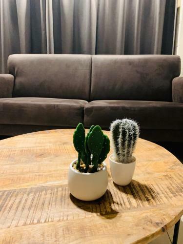 Apartamento Bungalow 72