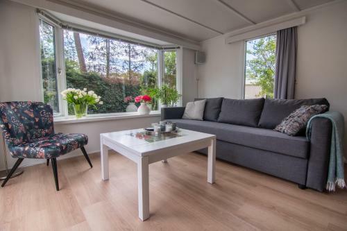 Luxe Chalet Op De Veluwe