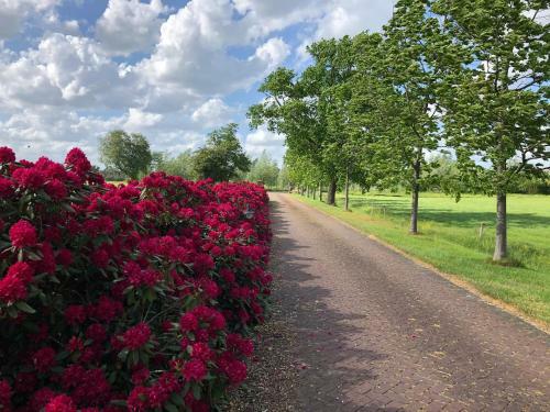 Apartamento Landgoed de Blaauwe Blaer