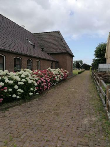 B&B D'n Uilenhof Haren