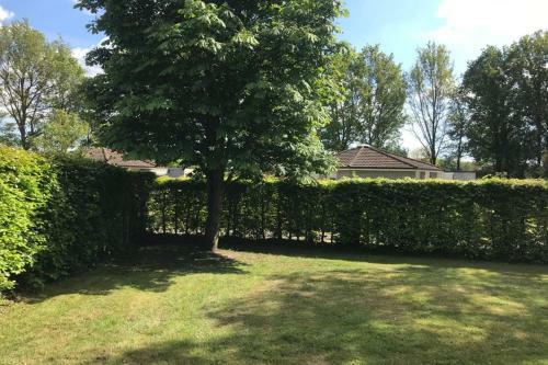 Rustig Gelegen Bungalow In Mooi Havelte (Drenthe)