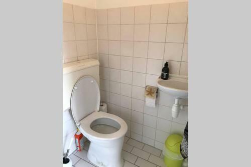 Rustig Gelegen Bungalow In Mooi Havelte (Drenthe)