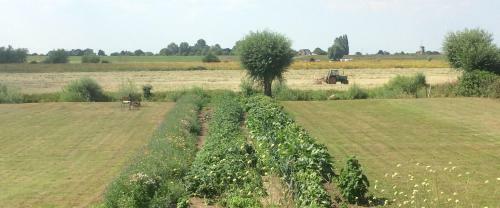Villa Unique Place On The River Waal