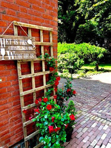 Hostal Guesthouse Villa De Eikhof