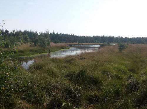 Fijne Vakantie Op de Camping In Drenthe!