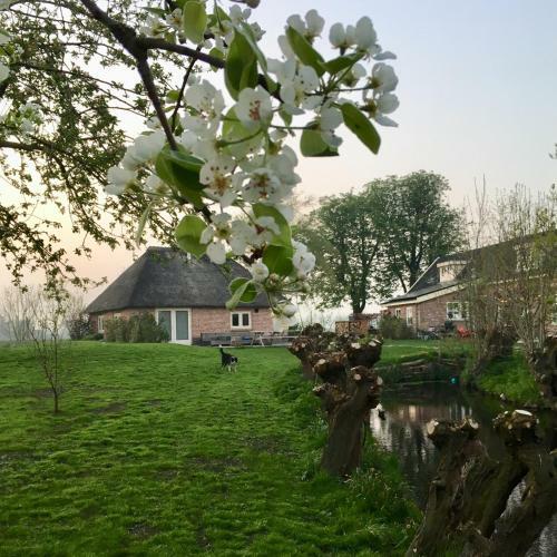 Groeten Uit Hoogmade - Rural Cottage