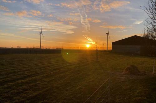 Apartamento Huisje Op Bioboerderij, Kust, Polder En Rust