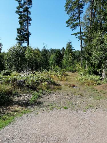 Apartamento L�genhet I Gullsp�ng Med Utsikt �ver Skogen