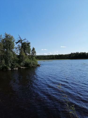 Apartamento L�genhet I Gullsp�ng Med Utsikt �ver Skogen