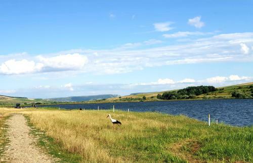 Agroturismo Stana Lui Aidan