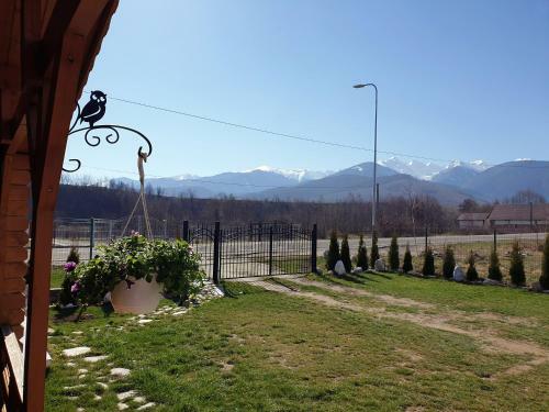 Lodge Casa Fericirii