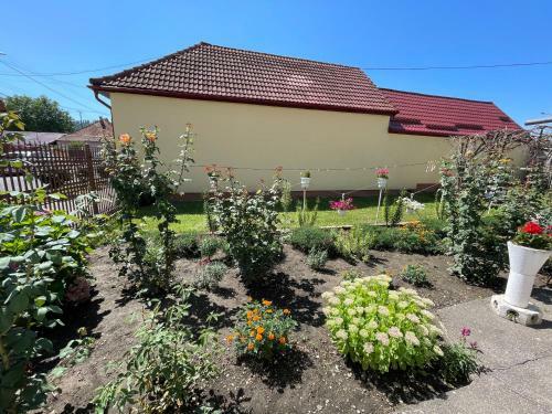 Villa Cozy House Neustadt