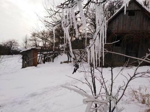 Cuib: Relaxare �n Transilvania, Printre Mun?i