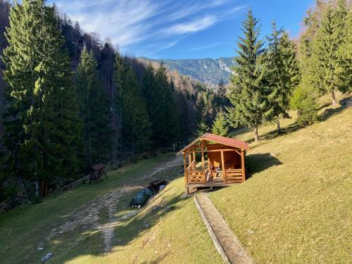 Villa Cabana Caprioara - Piatra Craiului