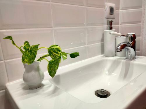 Hostal Casa D�vid Ferenc H�z