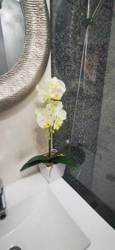 Apartamento Garsoniera Ultracentral