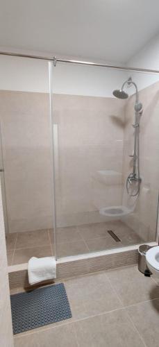 Apartament Sobarilor 38