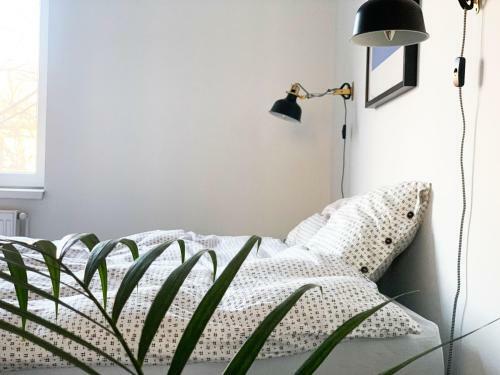 Green Peaceful Ultra Central Apartment