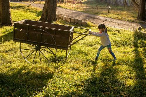 Agroturismo Estancia R�o de Los Ciervos