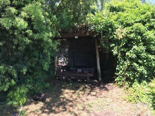 Casa Orilla Lago Villarrica