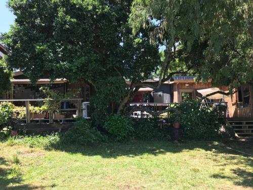 Casa Orilla Lago Villarrica