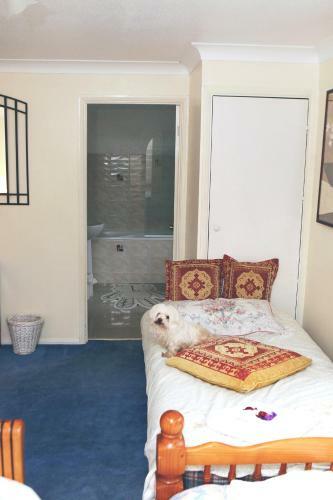 Hostal Da Vinci Guest House - Bed And Breakfast (gatwick)