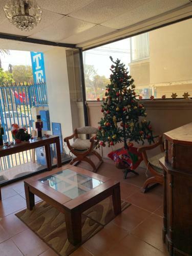 Bed & Breakfast Hotel Marina Azul