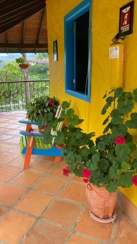 Vista Hermosa Finca Hotel