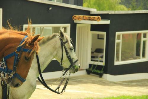 Glamping Caliza La Calera