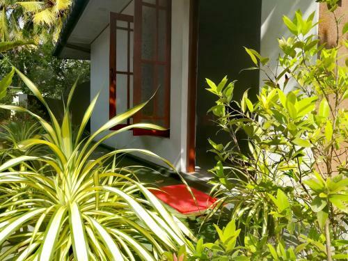 Hostal Arani Homestay