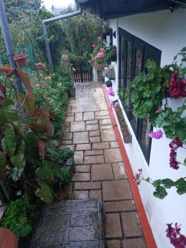 Hostal Redwood Homestay