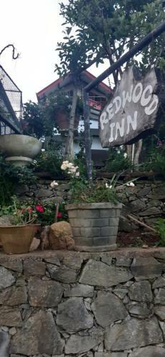 Hostal Redwood Homestay