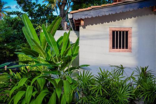 Bed & Breakfast Villa Don Bastian