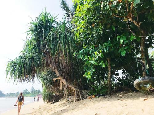 Hotel Golden Bay Resort Weligama