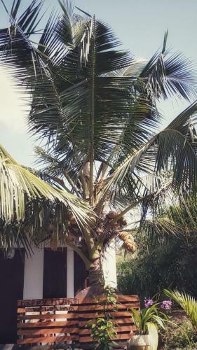 Happy Living Weligama