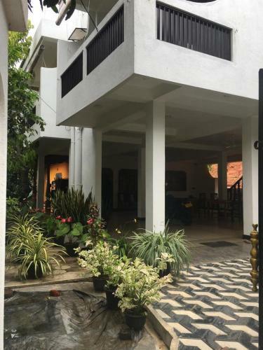 Hostal Dreams Connect Guest