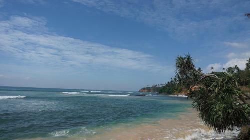 Hostal The Reef Weligama
