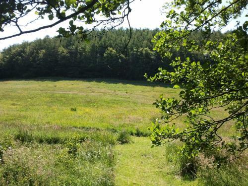 Agroturismo Rawcliffe House Farm