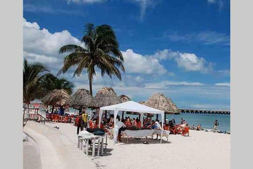 Apartamento Relax En La Playa Con Mas de 70 Servicios